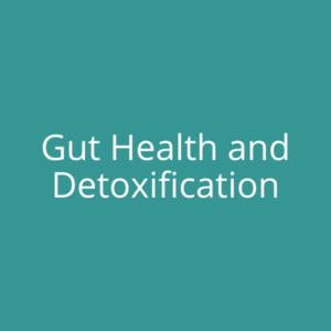 Gut Health and Detoxification